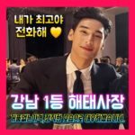 강남호빠 어게인 해태사장